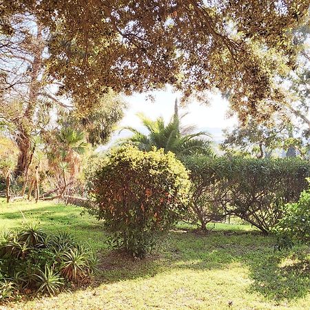 La Suite Costabella A Hyeres-Les-Palmiers Exteriér fotografie