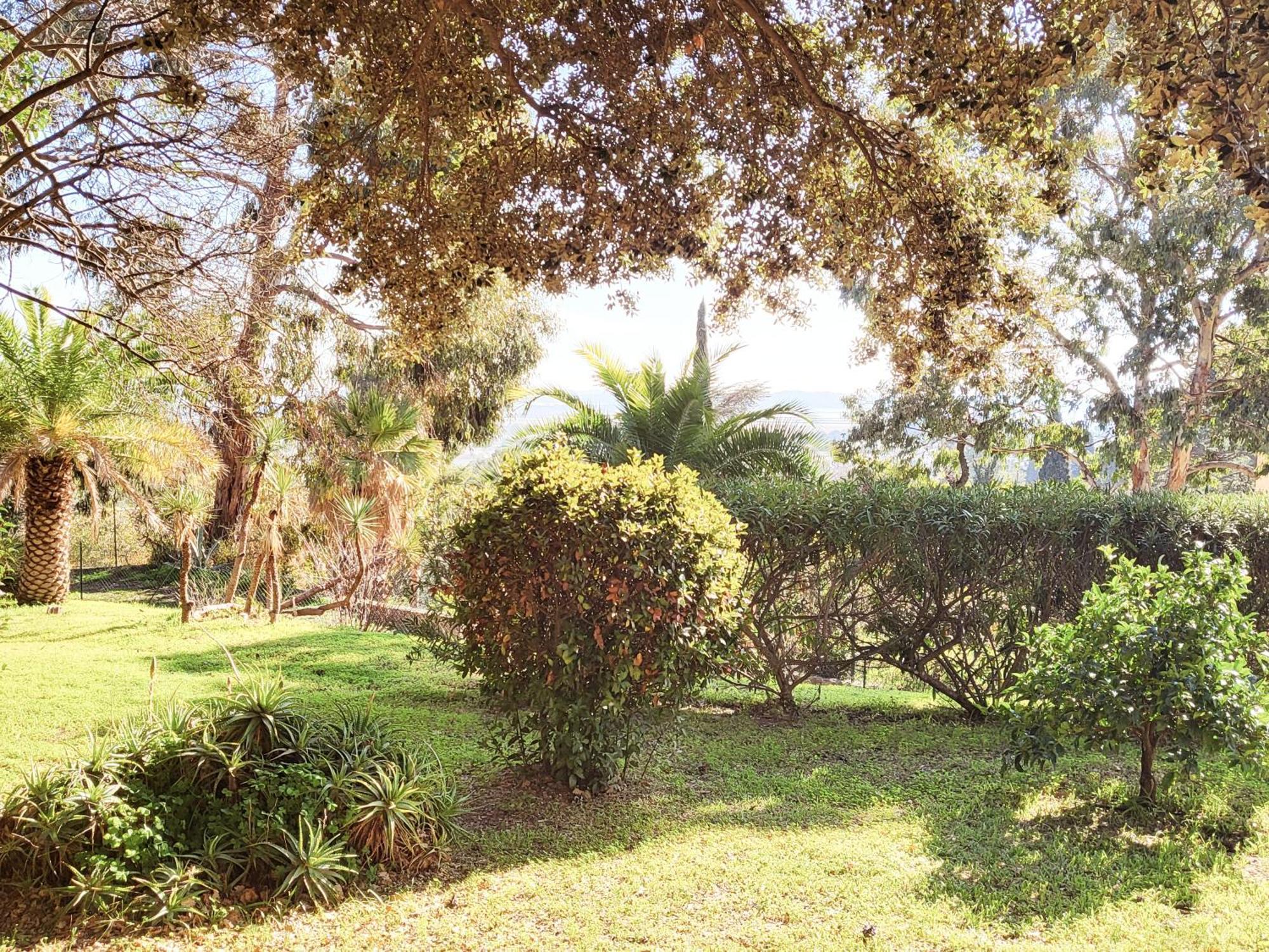 La Suite Costabella A Hyeres-Les-Palmiers Exteriér fotografie
